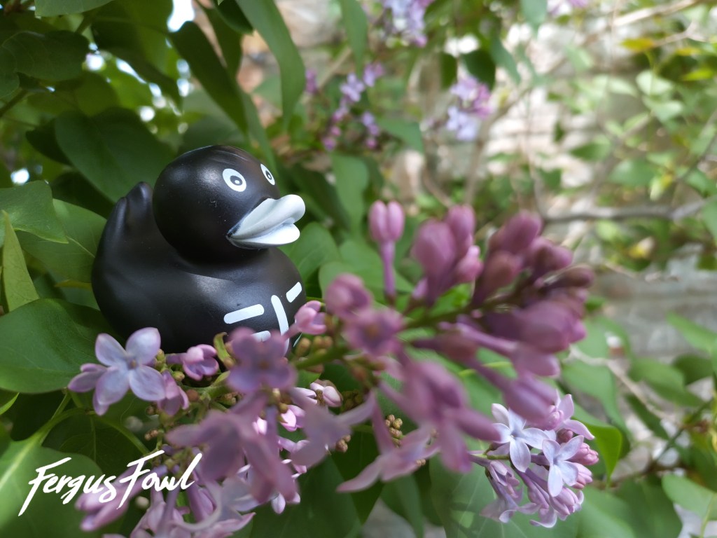 Let’s Talk About Anxiety & How Rubber Ducks Can&nbsp;Help!