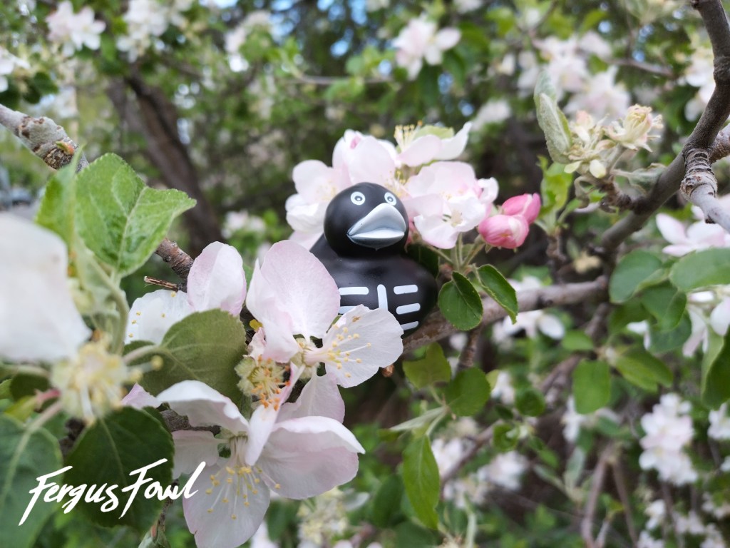 Good Tuesday Morning!