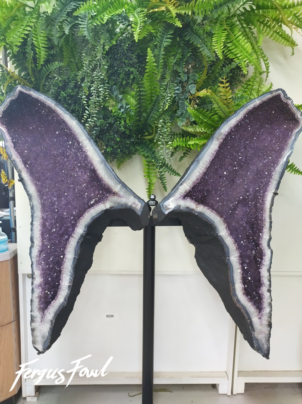 Good Friday Morning!