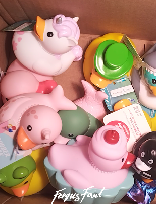 Our First Duck&nbsp;Mail!