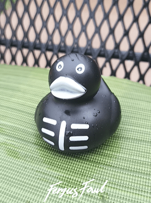 Anyone else need a moment of&nbsp;Zen?