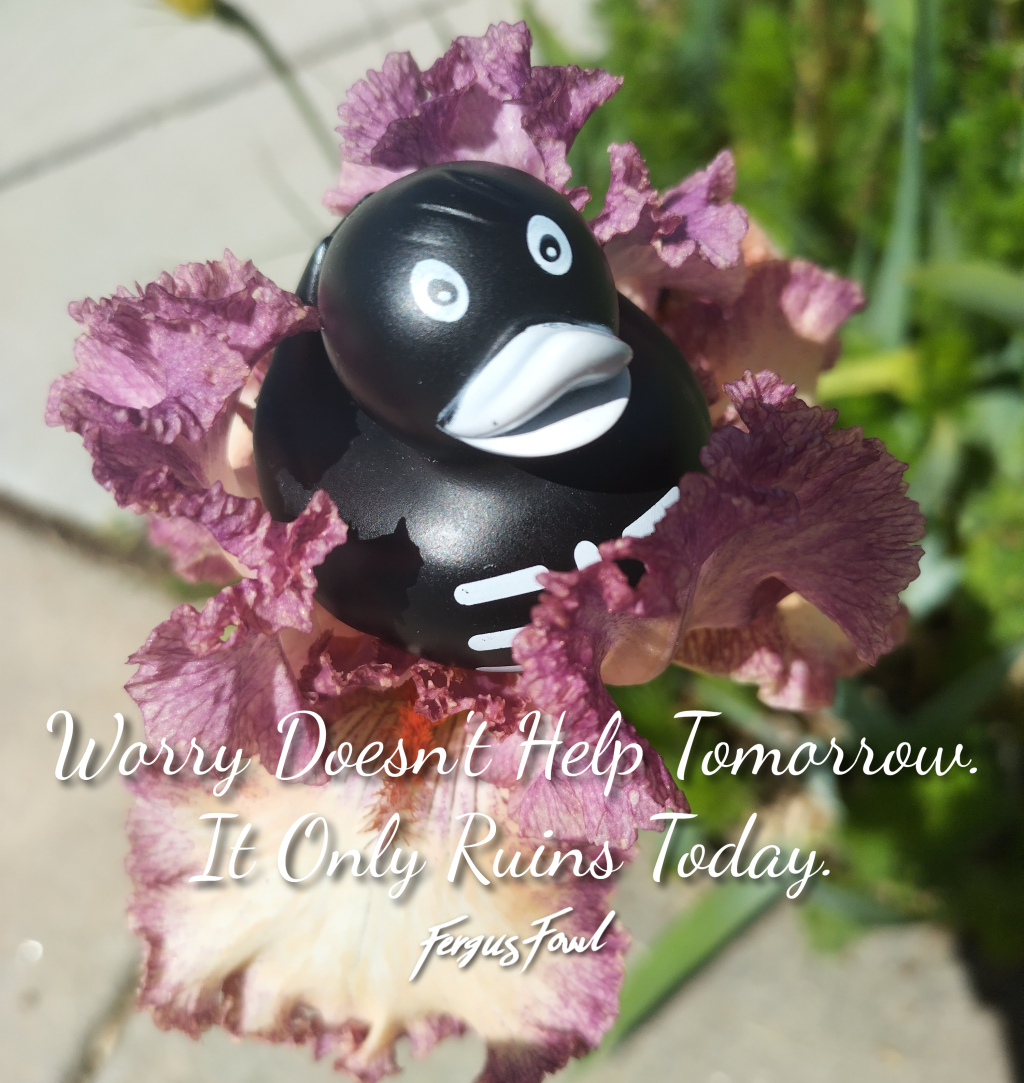 Worry Doesn’t Help&nbsp;Tomorrow.