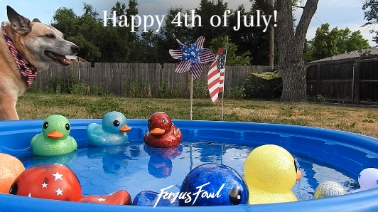Happy 4th of&nbsp;July!